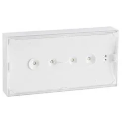 Luminaire Pour Source Centrale - Uraone - Evacuation - 110/220/230 V