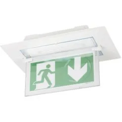 BAES + BAEH Uralife ENC Adressable (118149)